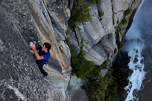 honnold